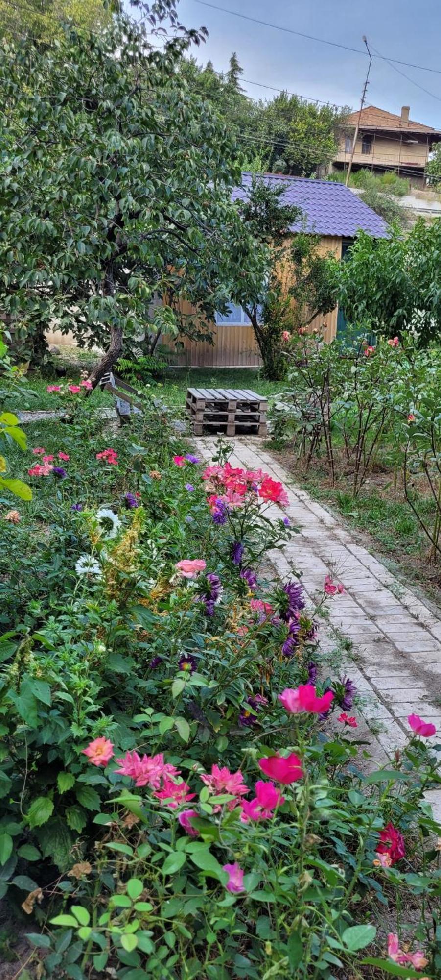 Dream House Hotel มซเคทา ภายนอก รูปภาพ